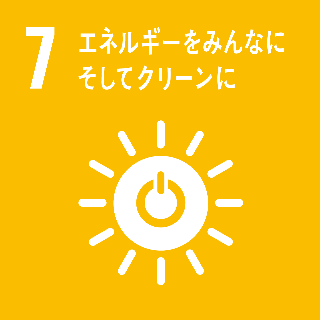 SDG 07